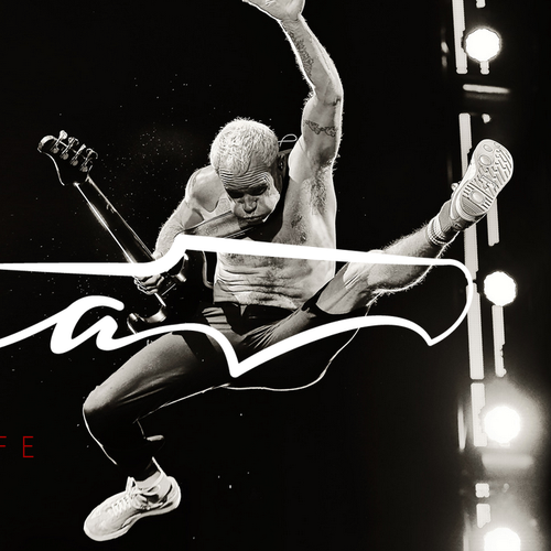 Music website with the title 'Flea's Biography, in a simple way'