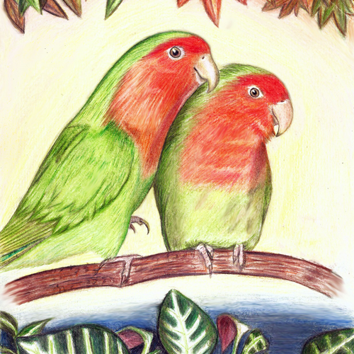Bird artwork with the title 'Whimsical, sweet animal and/or botanical illustration'