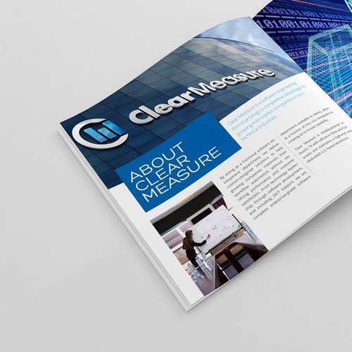 Company profile design with the title 'Profesional Layout'