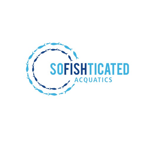 Aquarium design with the title 'Sofishticated Acquatics'