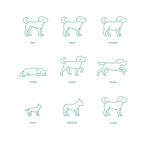 Pet illustration with the title '9 Dogs line sketches'