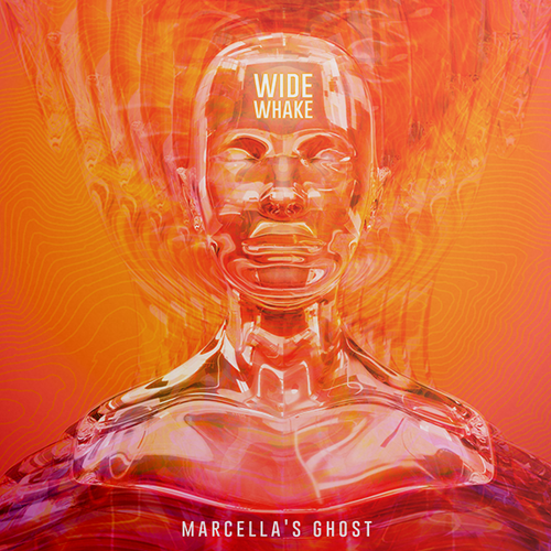 CD design with the title 'capa de disco'