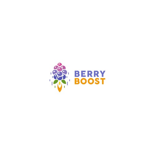 Berry logo with the title 'Concept for Berry Boost'