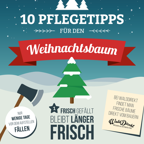 Christmas tree design with the title 'WaldDirekt Infographic | 10 tips for your Christmas Tree'