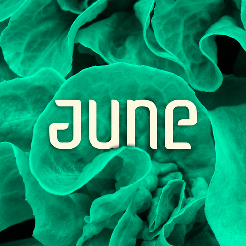 Ambigram logo with the title 'June'