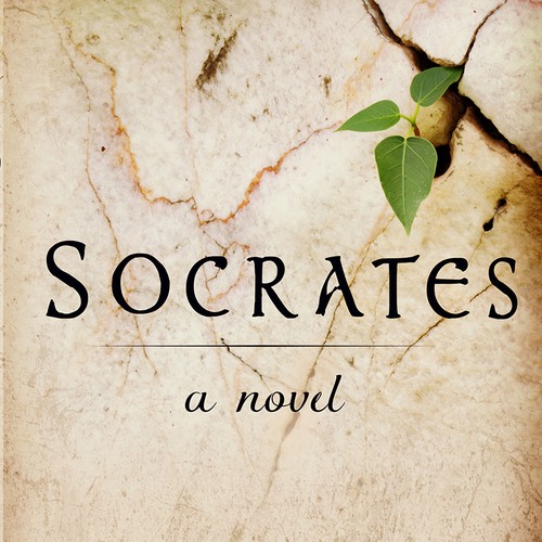 Historical fiction book cover with the title 'Book cover for historical fiction'