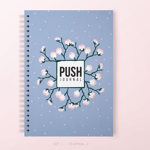 Book cover artwork with the title 'PUSH Journal'