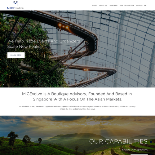 Digital marketing design with the title 'Professional Design for New Advisory Business'