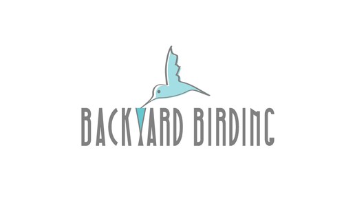 Hummingbird logo with the title 'Create a capturing bird feeder illustration for backyard birding, mostly hummingbirds'