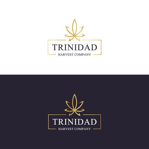 Shapes logo with the title 'TRINIDAD'
