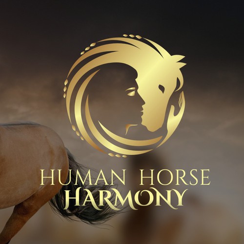 Knight on a horse logo with the title 'A person with a horse in harmony'