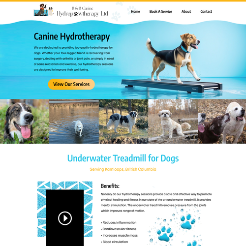 Canine design with the title 'Dog Hydrotherapy Website'
