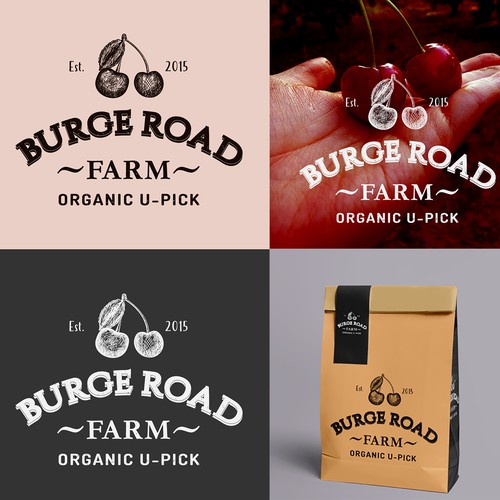 Organic food logo with the title 'cherry farm logo '