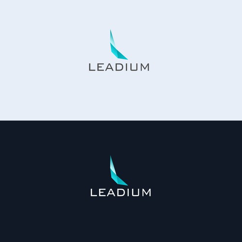 Light blue design with the title 'Leadium logo'