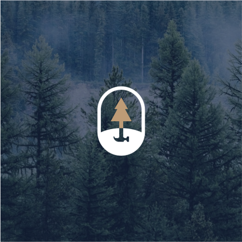 Building brand with the title 'iron and pine homes'