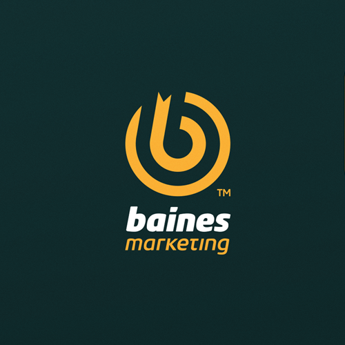 Bullseye logo with the title 'Baines Marketing'