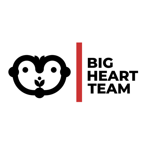 Quirky logo with the title 'Minimal logo concept for big heart team'