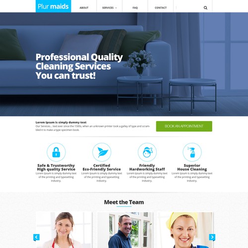 Textured design with the title 'website design for professional cleaning services'