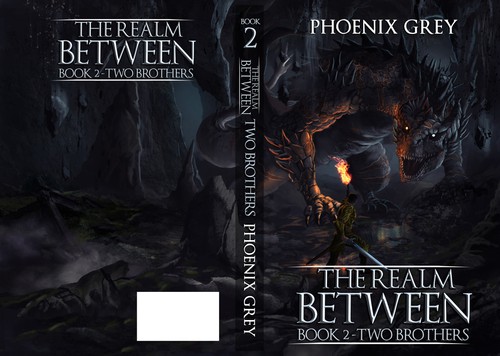 Dragon book cover with the title 'BoCovers for a long running LitRPG series'