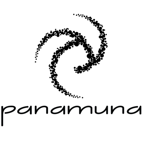 Action logo with the title 'Create an eye-catching, unique logo for a Sustainable Surf Brand'