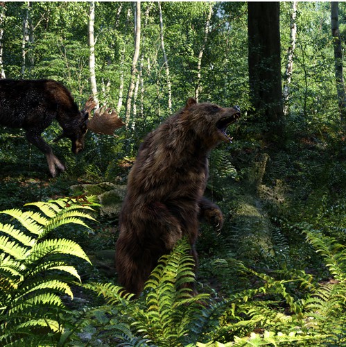 Wallpaper design with the title 'Animal Kingdom'