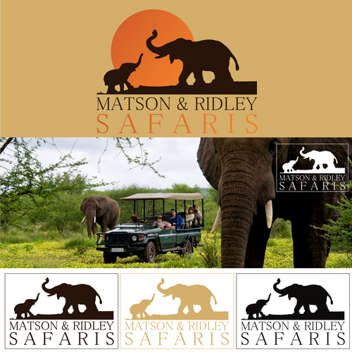 Safari logo with the title 'Safari Adventure'