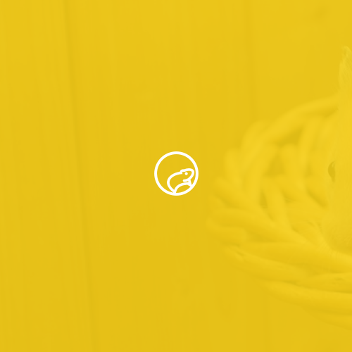 Hamster logo with the title 'ZweiHamster'