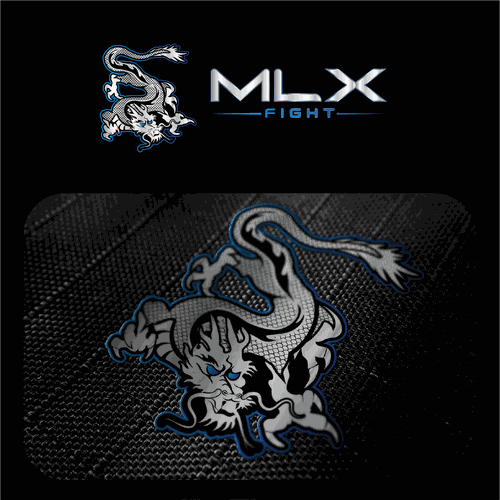 Jiu-jitsu logo with the title 'martial arts'