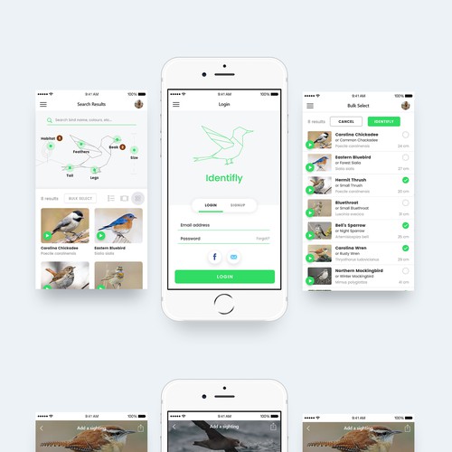 Complex design with the title 'Custom bird-watching app'