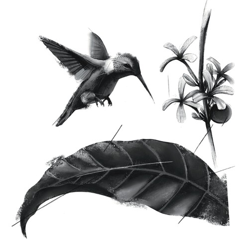 Pencil drawing design with the title 'Pencil Illustration'