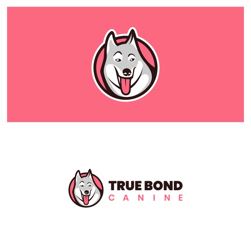 Dog training logo with the title 'BOLD & FUN LOGO'