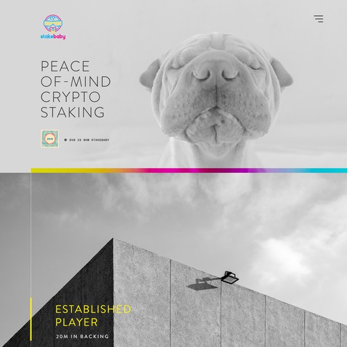 Minimalist website with the title 'StakeBaby '