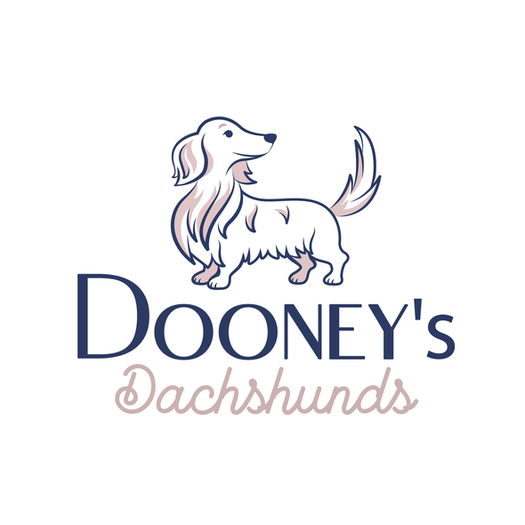 Dachshund logo with the title 'Sweet Dachshund Logo'