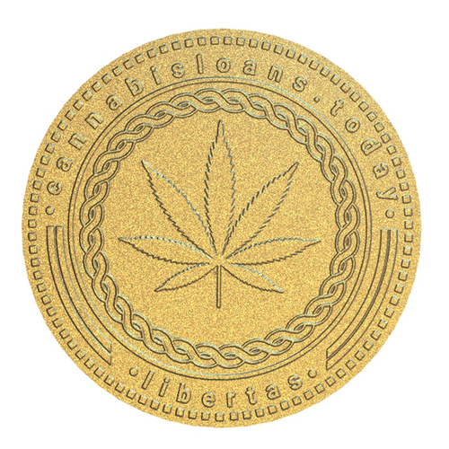 Modeling logo with the title 'Coin logo concept'