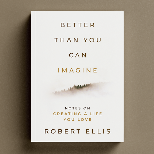 White book cover with the title 'Better Than You Can Imagine Book Cover'