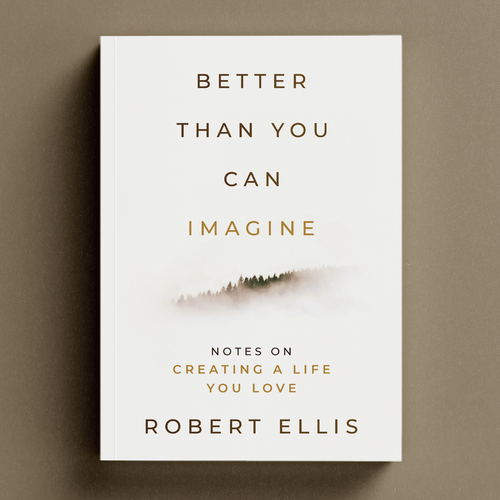 Beautiful design with the title 'Better Than You Can Imagine Book Cover'