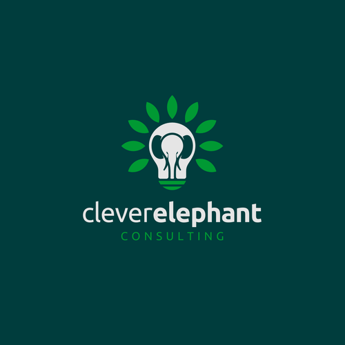 Light bulb logo with the title 'Clever Elephant Consulting'