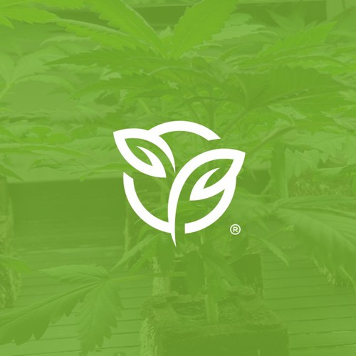 Plant design with the title 'Simple Logo Design for Piumas Garden'