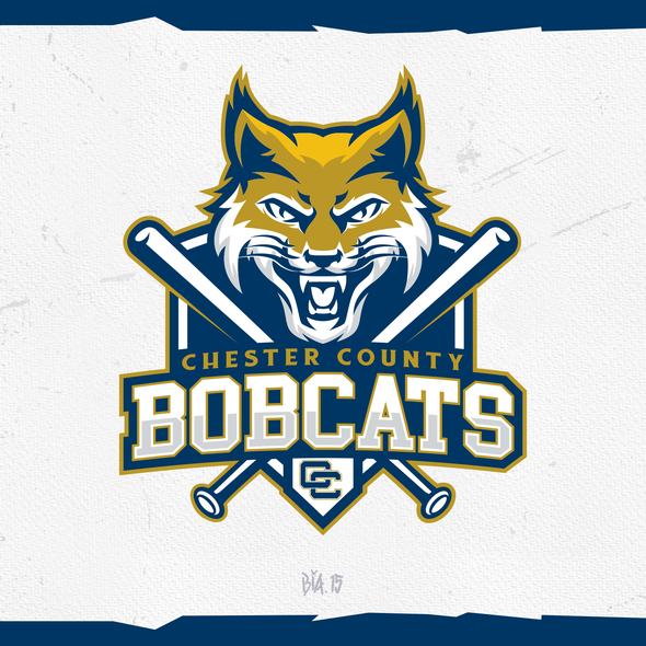 Bobcat logo with the title 'Bobcat baseball logo for youth travel team'