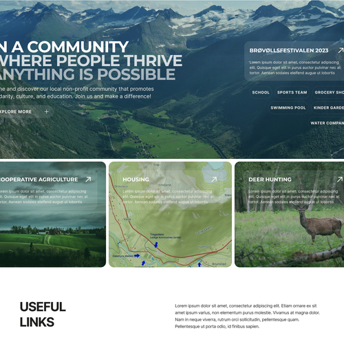Big image website with the title 'Design concept combining a landing page and a portal for a local community'