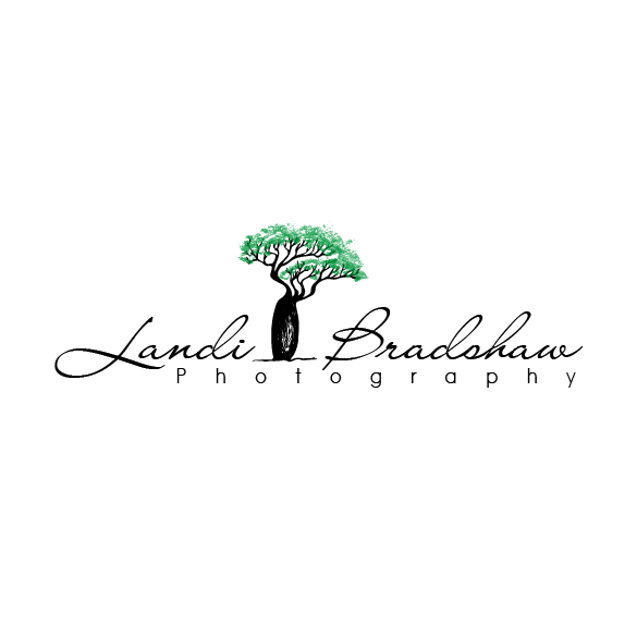 Watermark logo with the title 'boab tree photography logo'