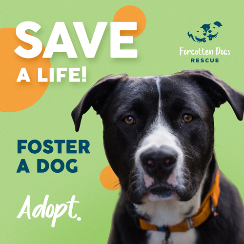 Instagram ad design with the title 'Facebook Instagram Ad'