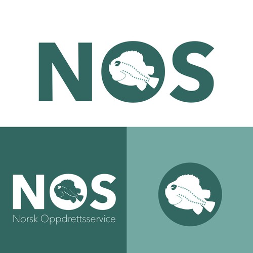 Salmon logo with the title 'Logo for ecofriendly solution for salmon farming'