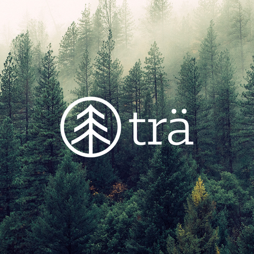 Calm logo with the title 'Scandinavian spa experience/ sauna'