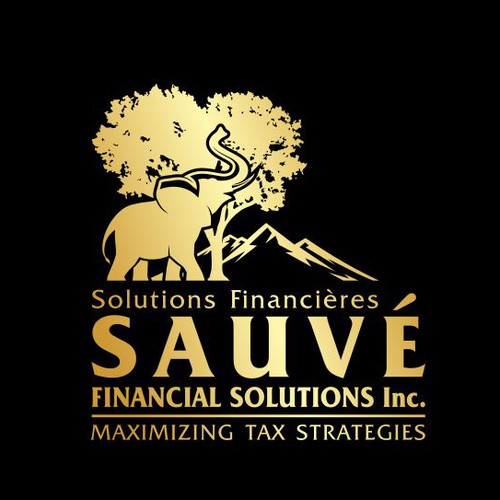 Masculine brand with the title 'Logo for SAUVE Financial Solution Inc.'