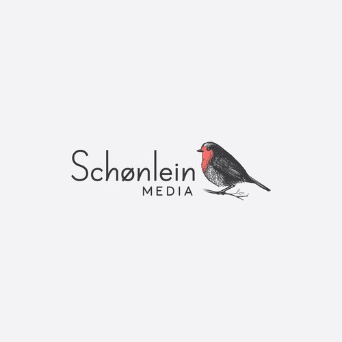 Agency design with the title 'Robin design for Schønlein Media'