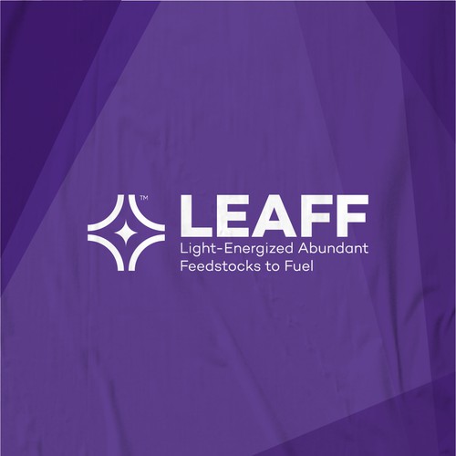 Elixir logo with the title 'Geometric Logo Concept for LEAFF'
