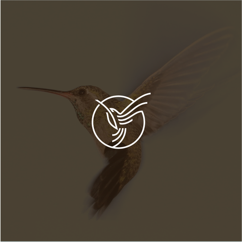 Hummingbird logo with the title 'Hummingbird logo concept for DNZ'