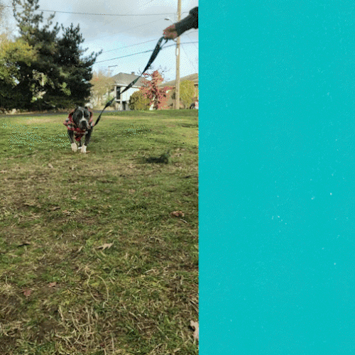 Instagram ad design with the title 'Facebook Instagram Ad'