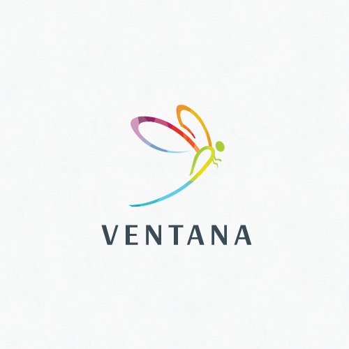 Dragonfly design with the title 'Logo Concept For Ventana'